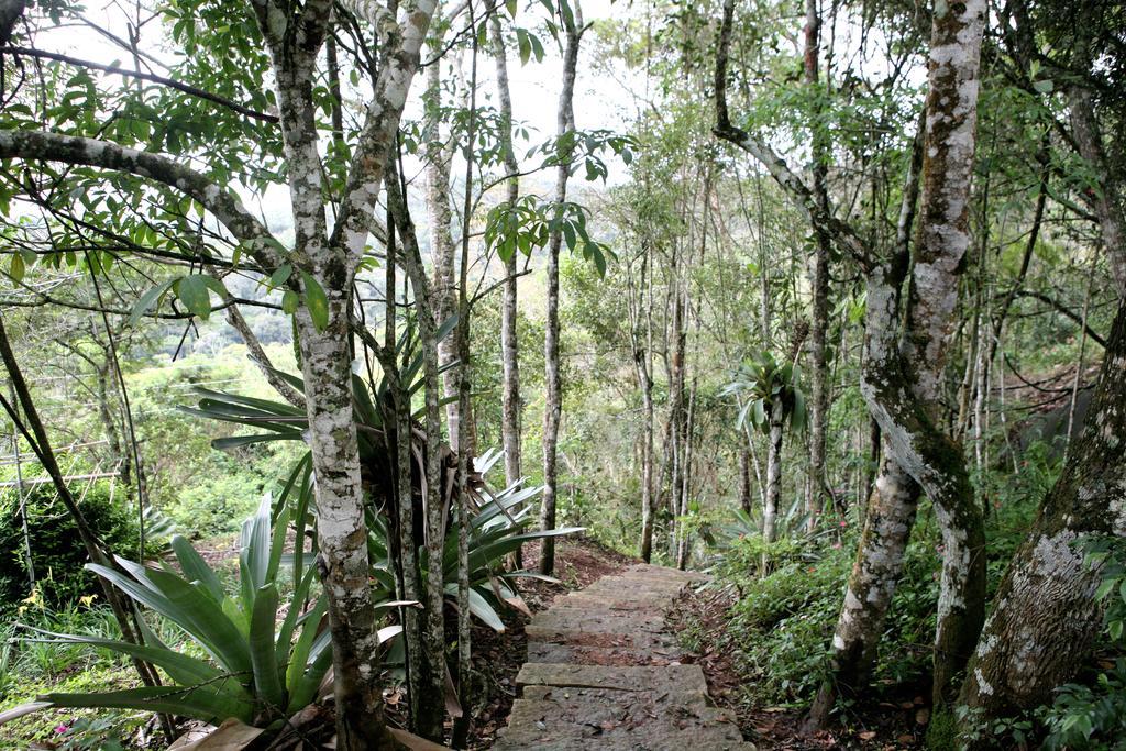 Aroso Paco Hotel Pedra Azul  Exteriör bild A trail in the park